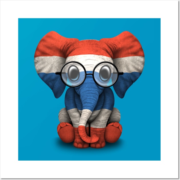 Baby Elephant with Glasses and Thai Flag Wall Art by jeffbartels